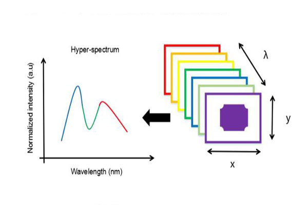 高光譜成像儀高光譜圖像數據和光譜數據處理方法