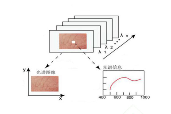 高光譜數(shù)據(jù)特征波長(zhǎng)的提取及建模方法介紹